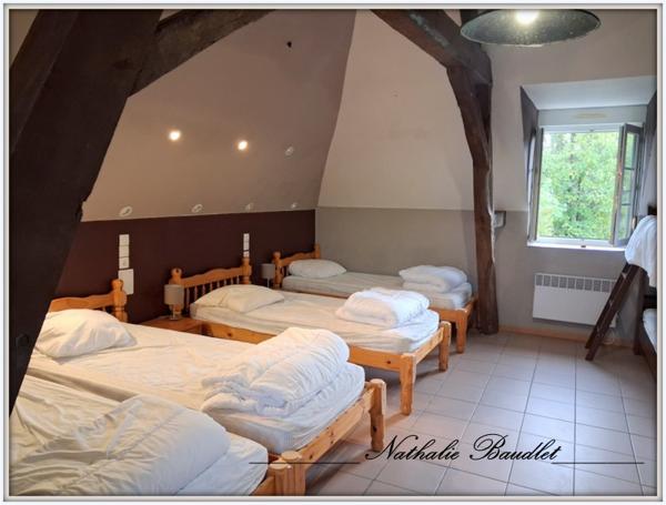 Brûlon (72350) Ancien moulin de 9 pièces (7 chambres) sur 4965m² de terrain