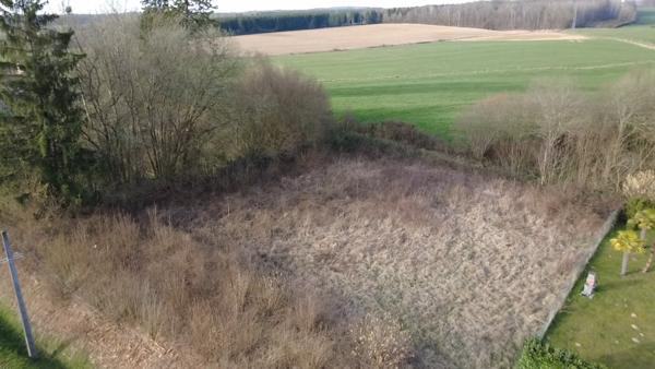 Terrain à SACHY (08110)