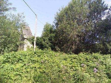 Terrain de loisirs - Bois - Etang à vendre à Condat dans le Cantal (15190), ref : FG/2351