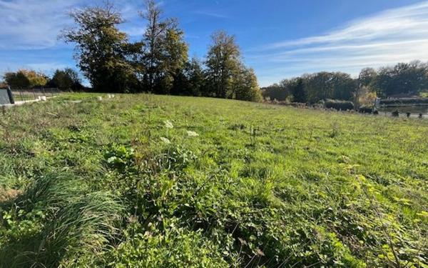 Terrain à vendre    Couzeix