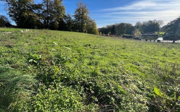 Terrain à vendre    Couzeix