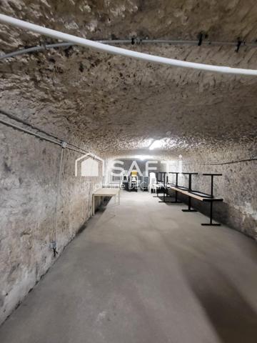 Cave Troglodyte pièce principal 120m2 + 3870M2 Parcelle total