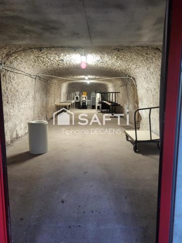 Cave Troglodyte pièce principal 120m2 + 3870M2 Parcelle total