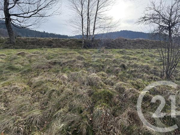 Terrain à vendre  2219 m2 ST ETIENNE LES REMIREMONT - 88