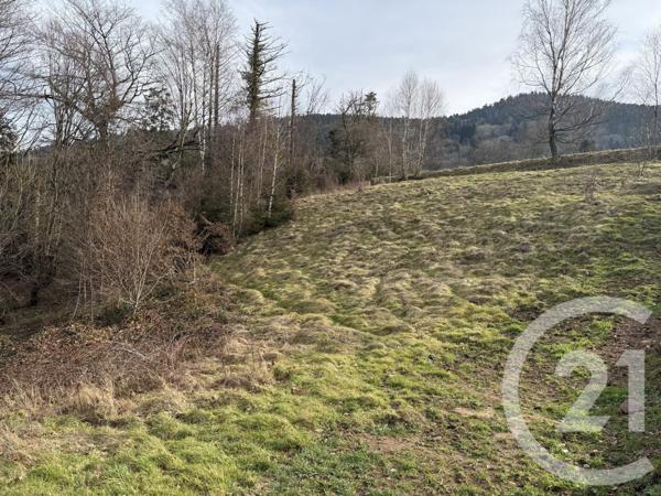 Terrain à vendre  2219 m2 ST ETIENNE LES REMIREMONT - 88