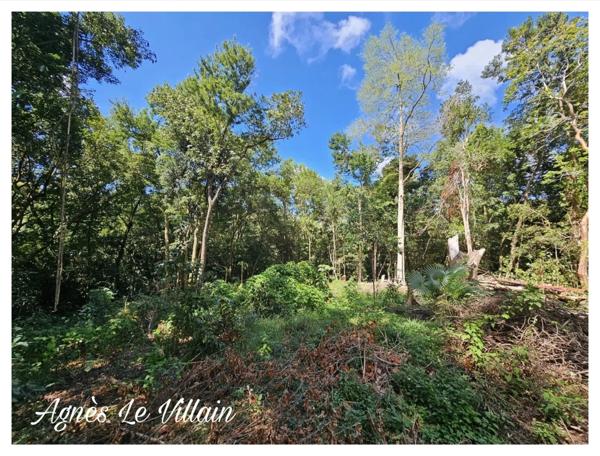 Terrain Arboré à Pigeon 3 500 m2