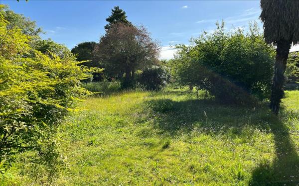 Terrain à vendre |  Carbon-Blanc |  316 m²