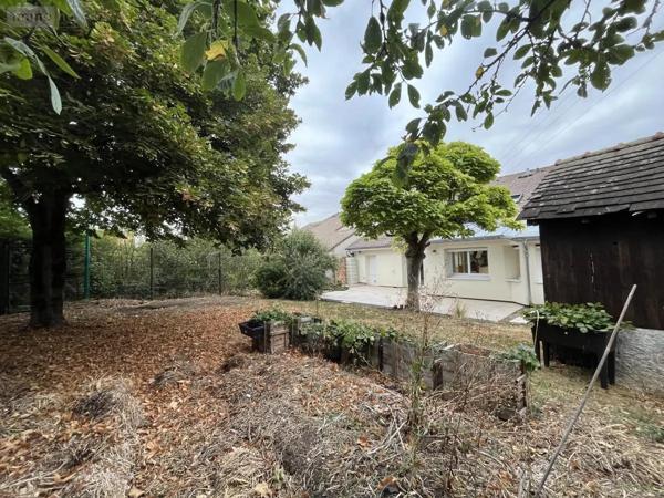 Location - Maison Tinqueux 51430 6 pièces 158 m 2 411 m 2
