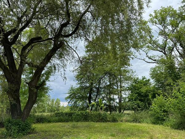 Maison avec potentiel et cadre verdoyant