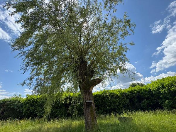 Maison avec potentiel et cadre verdoyant