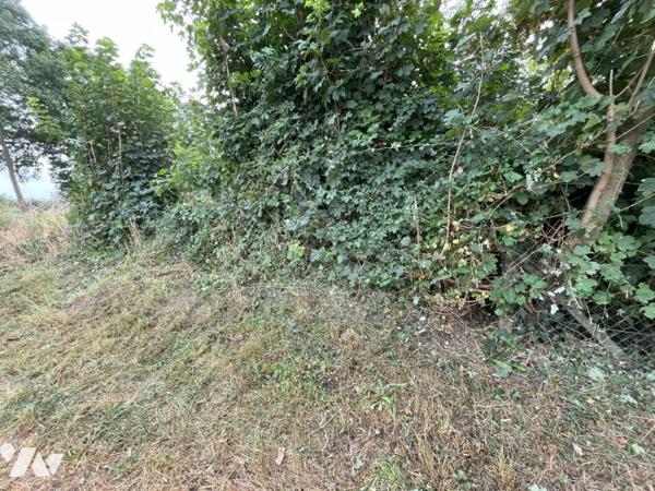 Terrain à bâtir LA CROIX AVRANCHIN 