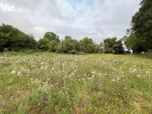 Terrain à bâtir LA CROIX AVRANCHIN 