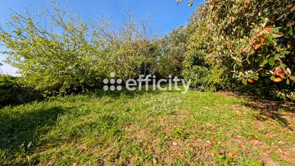 Maison 5 pièces - 102 m²