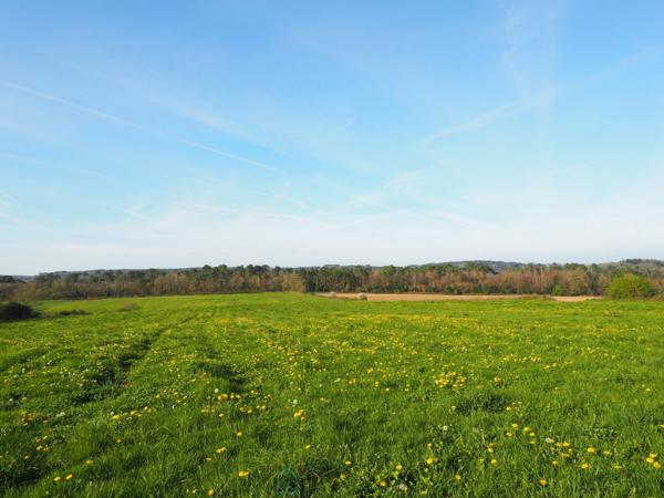 Agréable plain-pied 2 chambres proche forêt