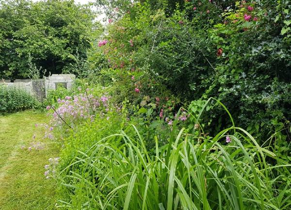 Maison à vendre    2 pièces •  Guingamp