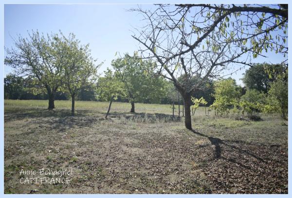 Dpt (32), à vendre corps de ferme 170 m2- Terrain de 11642m2