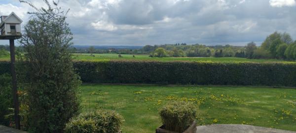 Maison sans vis-à-vis (76)