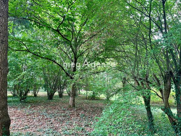 Maison à BOUCHEMAINE, 49080 - 6 pièces 194m²