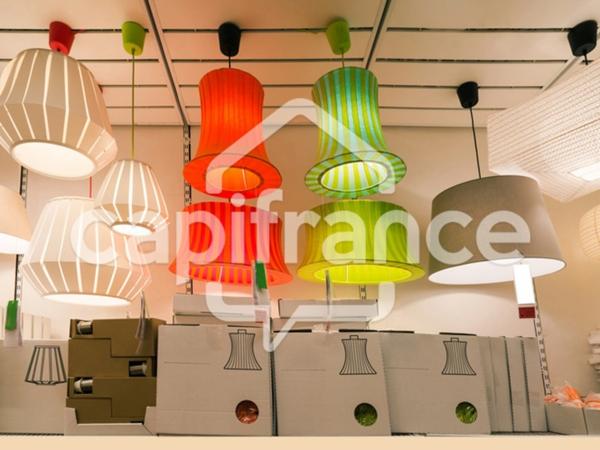 FDC ou DAB à vendre proche de SAUMUR (49)