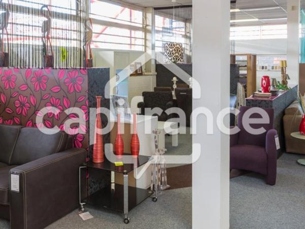 FDC ou DAB à vendre proche de SAUMUR (49)