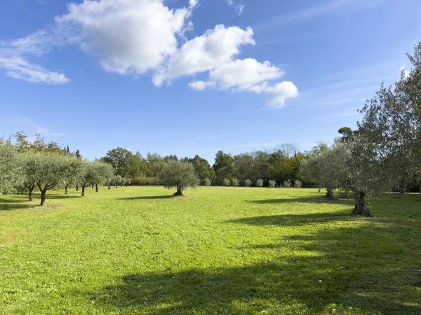 Propriété d'exception en pleine nature