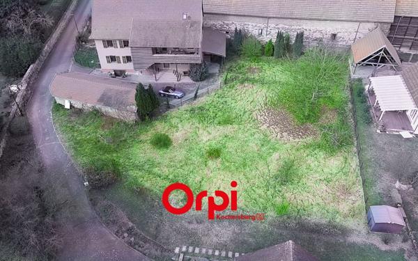 Terrain à vendre    Stutzheim-Offenheim