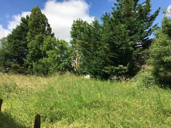 Terrain à vendre    Échillais