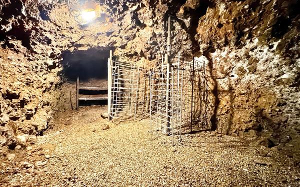 Maison à vendre    6 pièces • 154,42 m2 Lèves