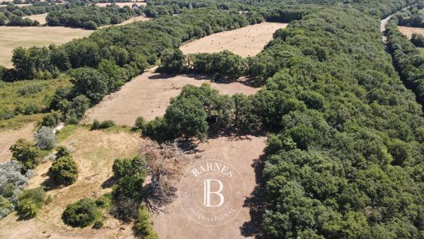 Saint-Gaultier, Château 7 Chambres  à vendre
