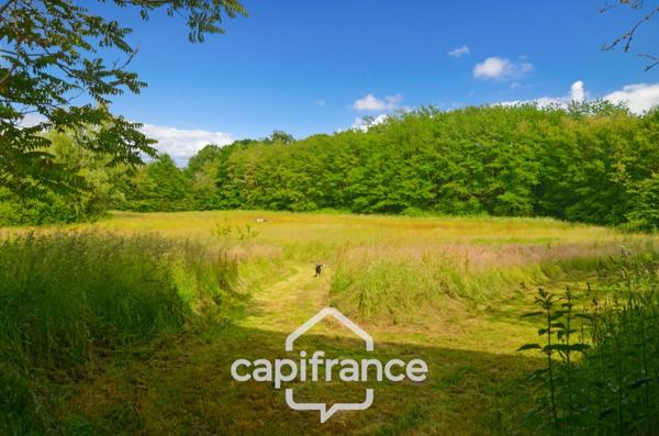 Maison à vendre 13 pièces proche de LONS LE SAUNIER (39)