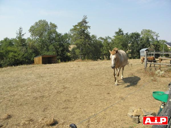 Maison 4 chambres en campagne sur 2,7ha