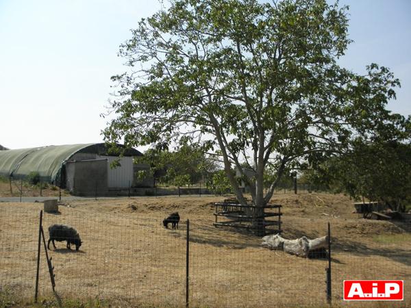 Maison 4 chambres en campagne sur 2,7ha