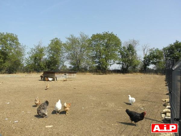 Maison 4 chambres en campagne sur 2,7ha