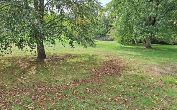 Terrain à vendre    Vierzon