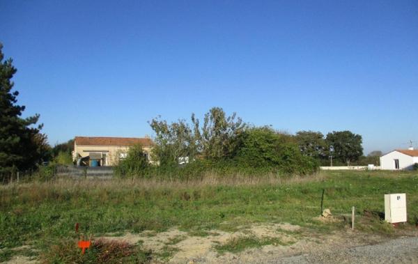 Vente Terrain Sainte-foy   