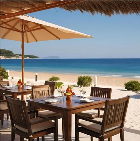 RESTAURANT-GLACIER D’EXCEPTION SAISONNIER (6 MOIS PAR AN) A VENDRE SUR LITTORAL HERAULTAIS PREMIERE LIGNE FRONT DE MER