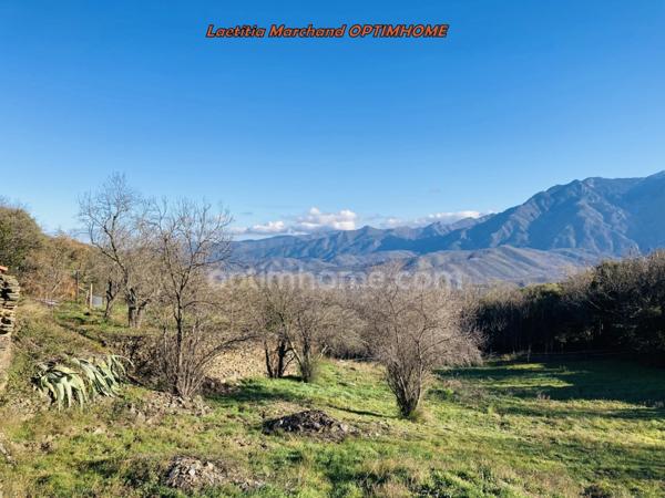 Mas à vendre 11 pièces Prades (66)