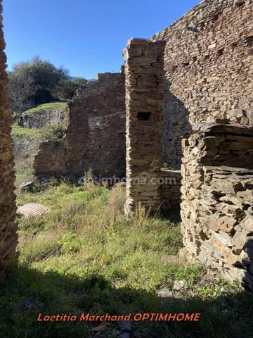 Mas à vendre 11 pièces Prades (66)