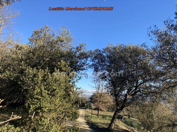 Mas à vendre 11 pièces Prades (66)