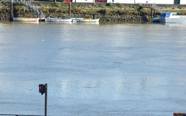 Appartement à vendre    5 pièces • 140 m2 Bayonne