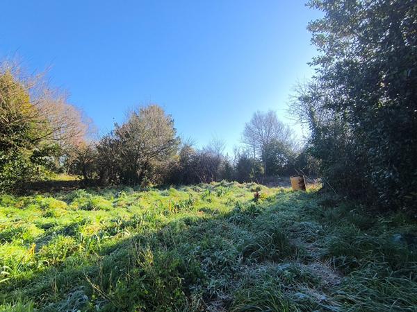 Terrain Avrille 1177 m2