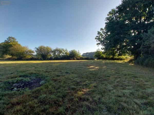 Maison à restaurer à vendre à Montreuil-sous-Pérouse en Ille-et-Vilaine (35500), ref : 35131-100   
Campagne