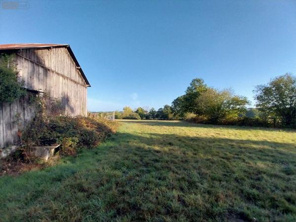 Maison à restaurer à vendre à Montreuil-sous-Pérouse en Ille-et-Vilaine (35500), ref : 35131-100   
Campagne