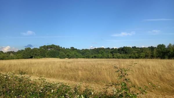 Terrain secteur de la Double de 1740 m2.