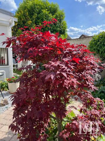 Maison de caractère vivable de plain pied