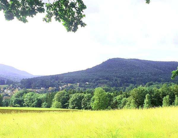 Immeuble à SAULXURES, 67420 - 300m²