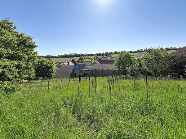 Ozenay (71700) Ensemble en pierre avec dépendances et terrain constructible – Fort potentiel, projet de vie ou investissement