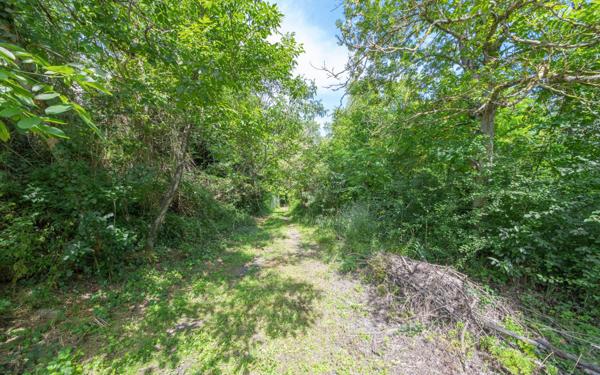 Maison à vendre    4 pièces • 110 m2 Castanet-Tolosan