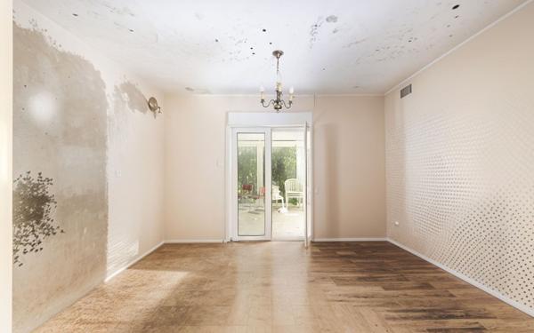 Maison à vendre    4 pièces • 110 m2 Castanet-Tolosan