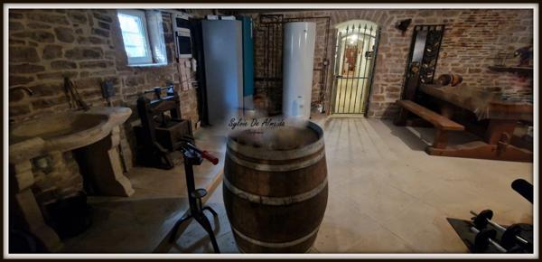 Maison à vendre 8 pièces FEILLENS (01) Atypique, plain-pied,piscine charme, pierre, vue dégagée, suite